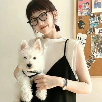 虚拟入口 INGRESS